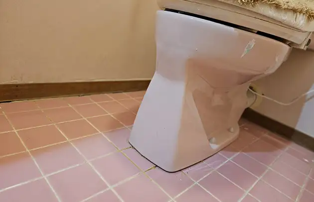 東近江市八日市東本町の紙詰まりで流れないトイレ詰まり施工事例写真