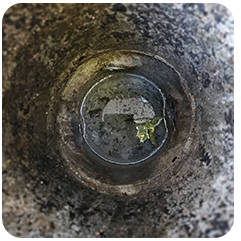 汚れた配管内写真