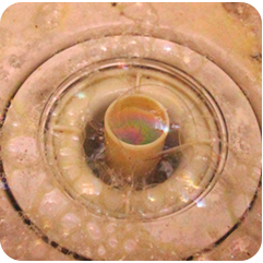 水があふれる洗濯機排水口写真