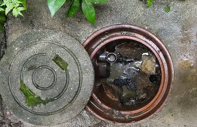 米原市顔戸の汚水桝逆流トラブルの高圧洗浄施工事例写真