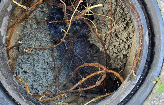 高島市新旭町の悪臭と流れの悪さを改善する汚水桝清掃施工事例写真