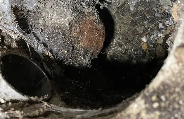 豊郷町安食西の悪臭と流れの悪さを改善する汚水桝清掃施工事例写真