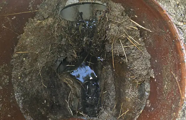 野洲市三上の悪臭と流れの悪さを改善する汚水桝清掃施工事例写真