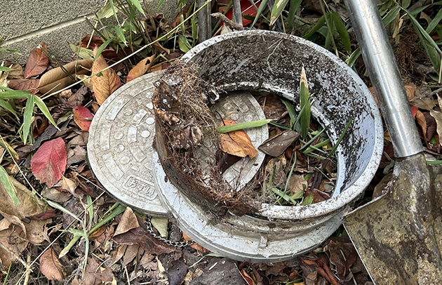 東近江市の汚泥が溜まった汚水桝清掃施工事例写真