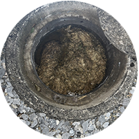 汚泥がたまった汚水桝の写真