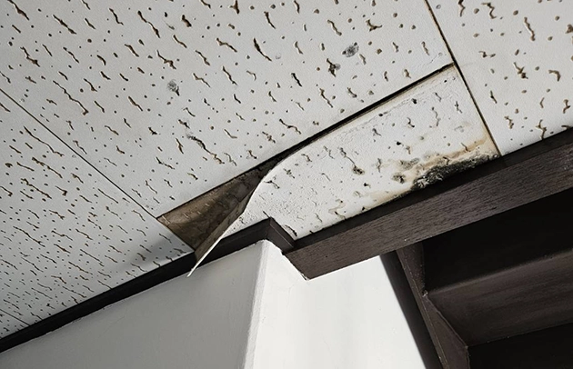 草津市南笠の天井からの水漏れ原因特定と修理対応施工事例写真