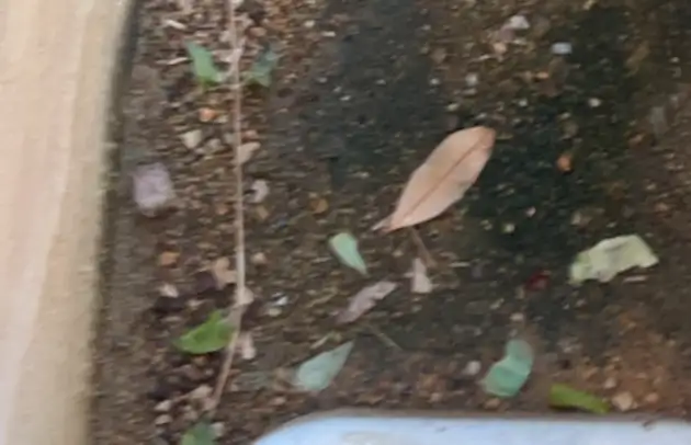 豊郷町石畑の地面のにじみ出しから特定した漏水修理施工事例写真