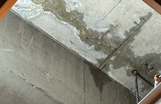 豊郷町安食西の天井からの水漏れ原因特定と修理対応施工事例写真