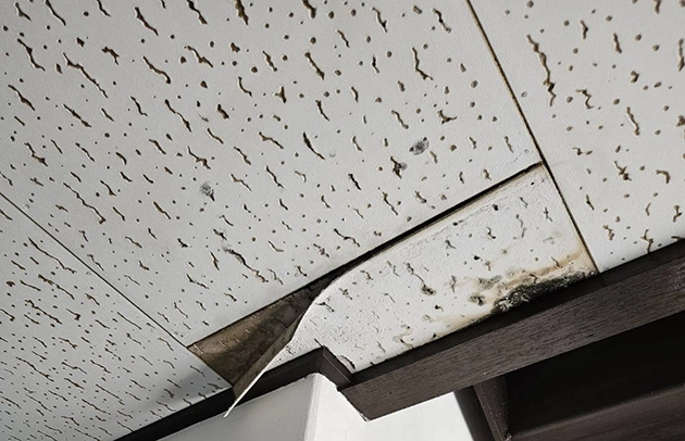 守山市天井水漏れでボードがめくれた施工事例写真