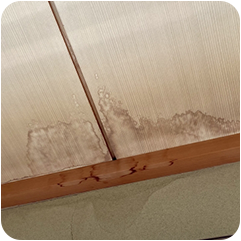 水漏れのシミが広がった天井の写真