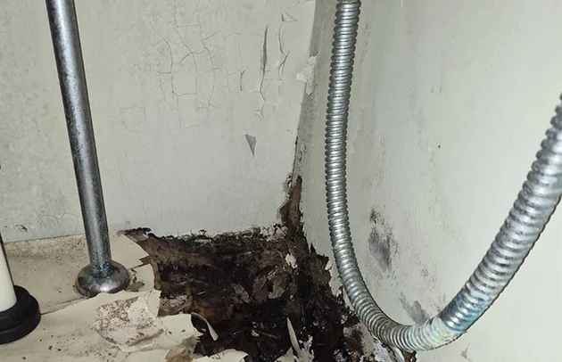 大津市の漏水している床下給水管