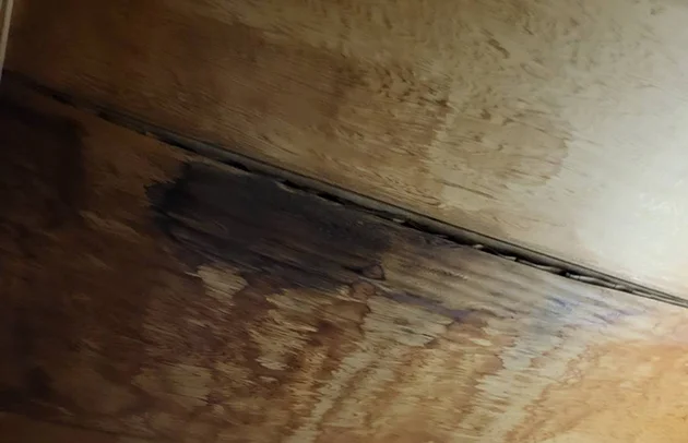 守山市の漏水でシミができた天井