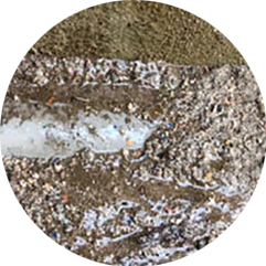 濡れた敷地内地面の写真